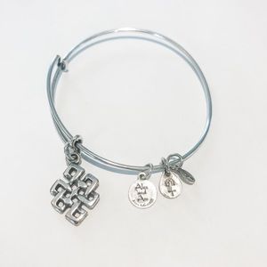Alex and ani bangle bracelet